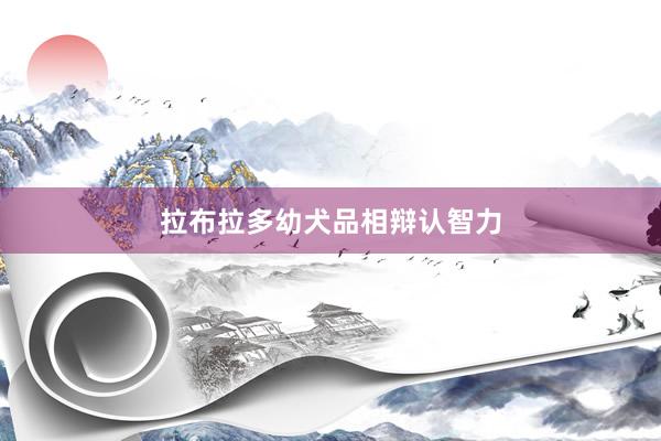 拉布拉多幼犬品相辩认智力